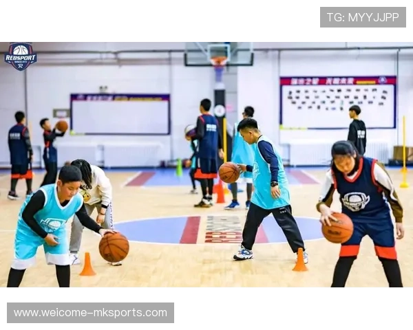 篮球在中国学校家庭社会三方协同育人体系中的功能体现，我国校园篮球应如何发展,并举例说明