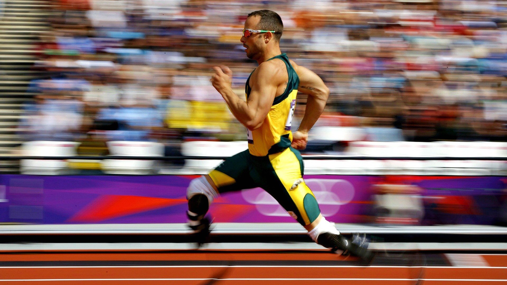 mk体育网页-体育纪录片上线展现冠军背后的故事，体育纪录片主题